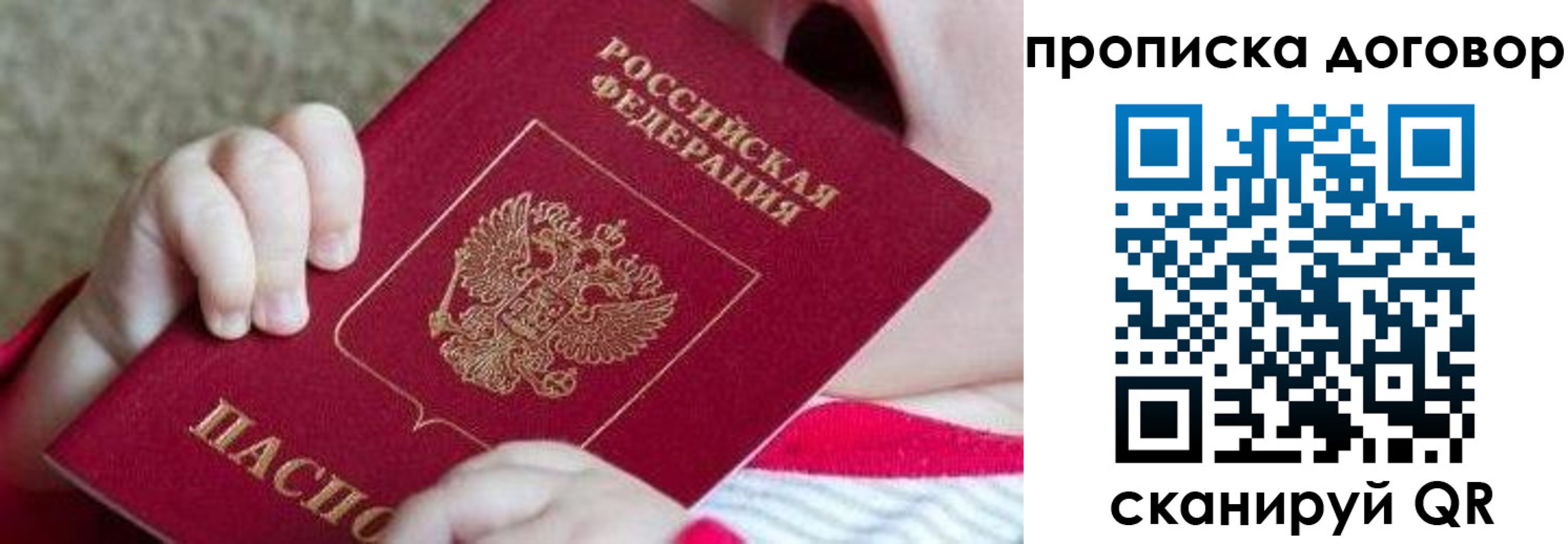 временная регистрация поиск в Волгограде